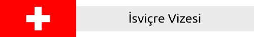 �svi�re Vizesi